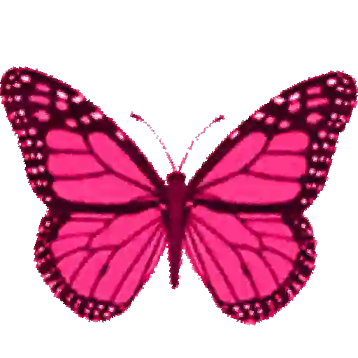 Mariposas 13