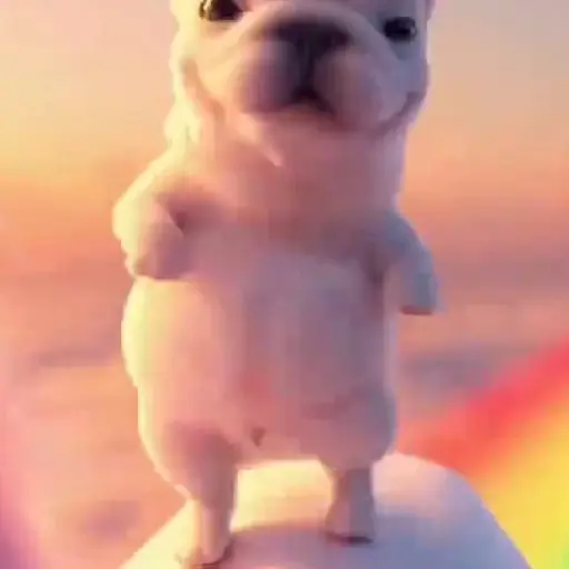 Pibble 🐶 Perro Pibble 🐶 4