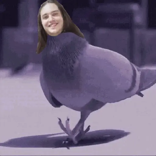 🕊Paloma migajera 🙃 11