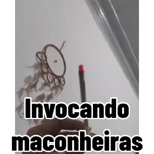 Plansul kkkkk 6