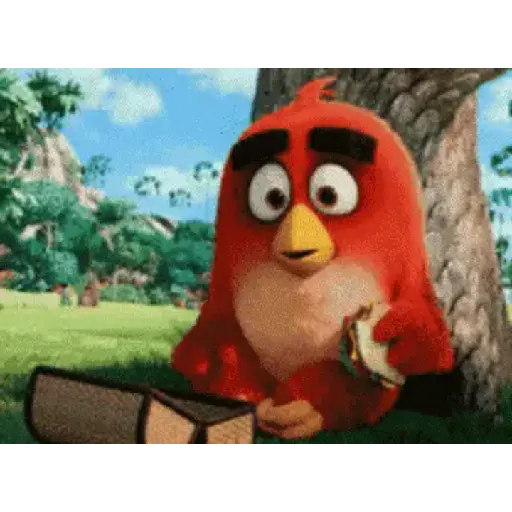 Angry birds 4