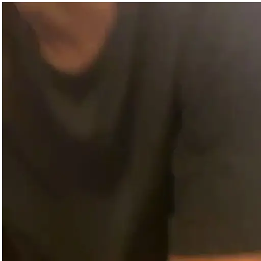Zoeirasdiversas 19