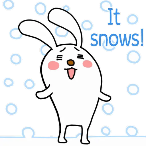 It's Cold Bear& Bunny🐻🐰❄️ 13