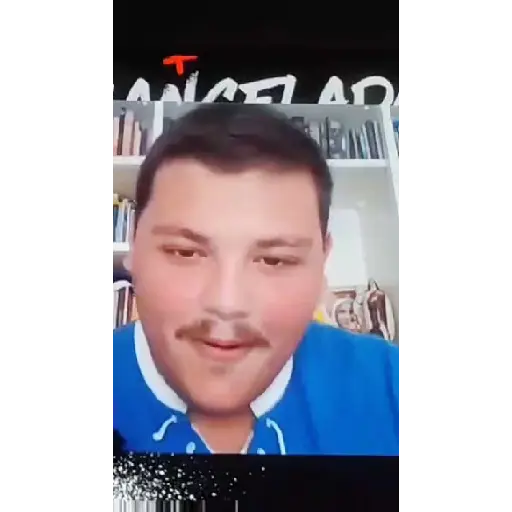 Animadas 27