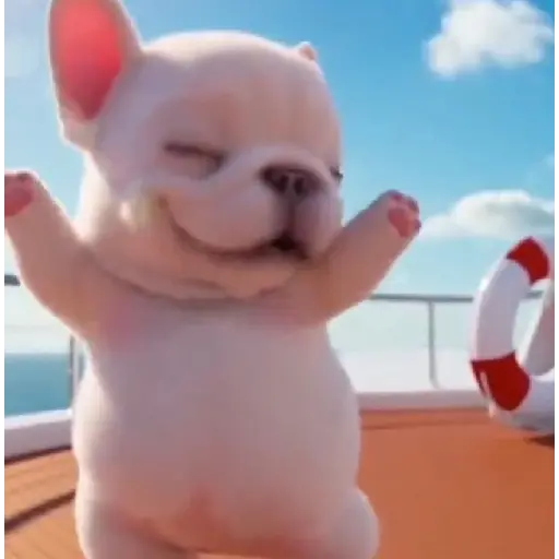Pibble 🐶 Perro Pibble TikTok🪩 8
