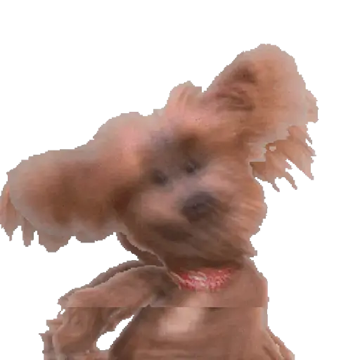 Dancinha feliz 🕺 3