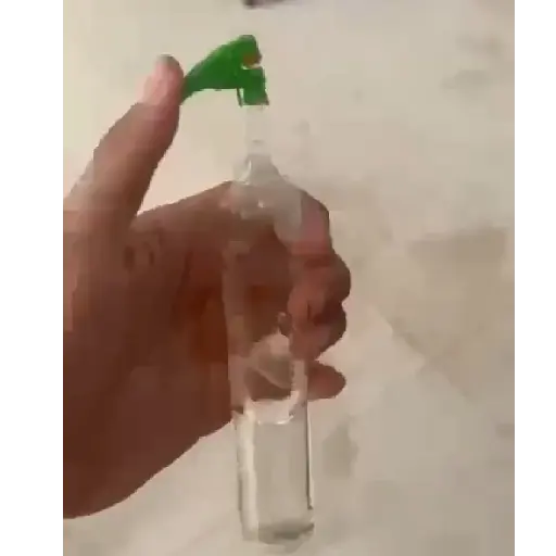 Zoeirasdiversas 13