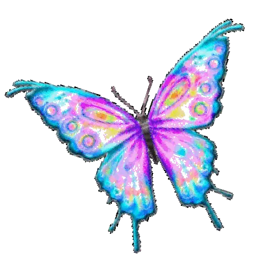 Mariposas 6