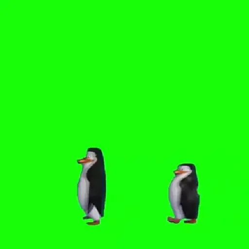 🧿Prendelo Pingüino 🐧🐧🐧 5