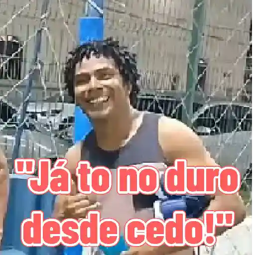 Animadas 24