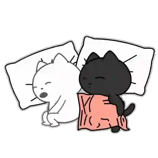 ❤️ Amor Parejitas de Gatos 😻❤️ 20