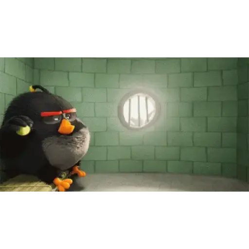 Angry birds 22