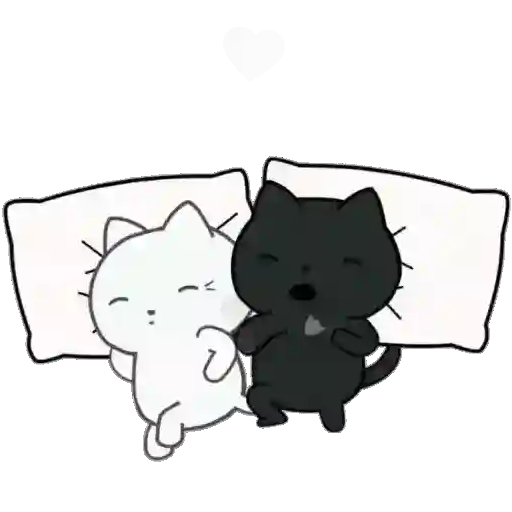 ❤️ Amor Parejitas de Gatos 😻❤️ 21