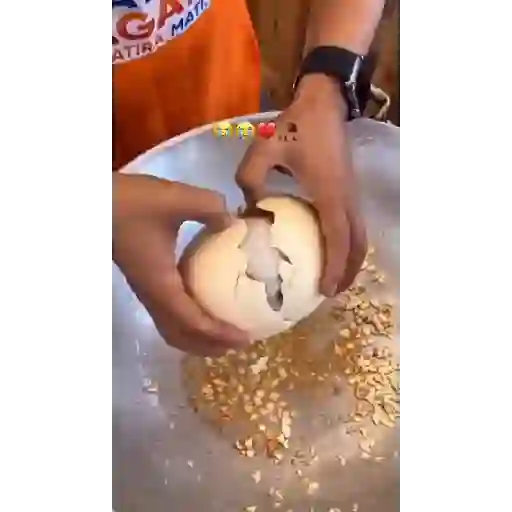 Más gatitos 25