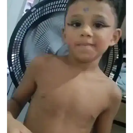 Plansul kkkkk 12