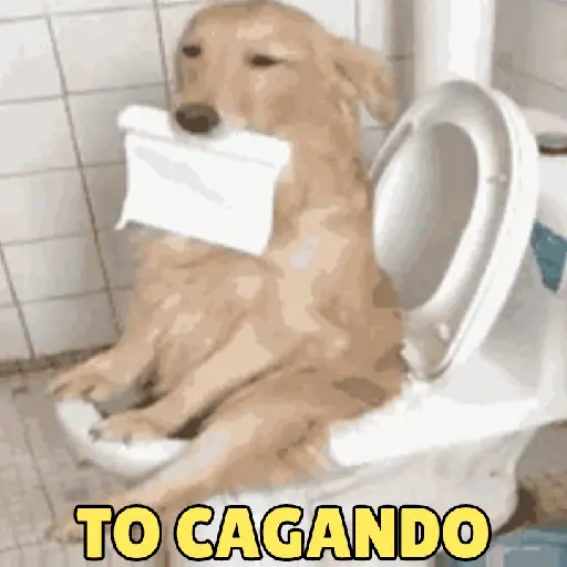 Pacotinho de Figurinhas 18