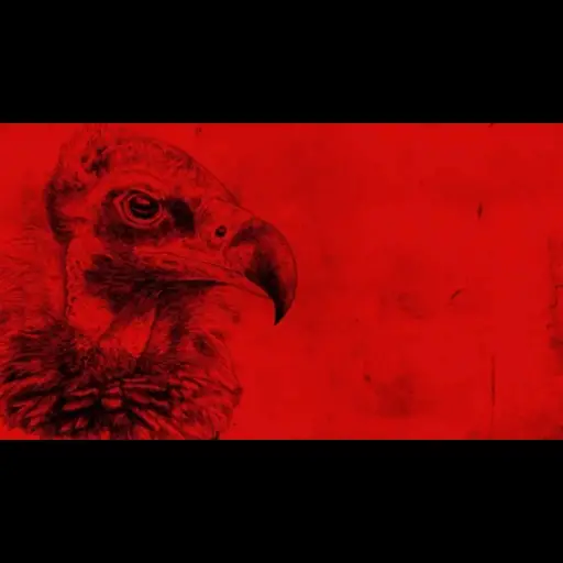 Flamengo 5
