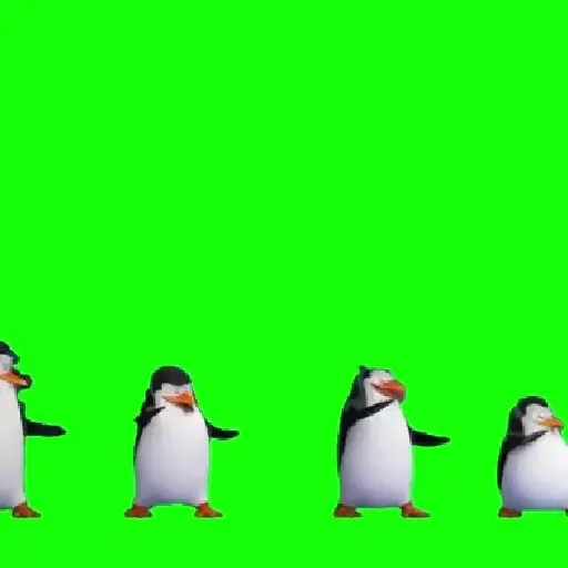 🧿Prendelo Pingüino 🐧🐧🐧 9