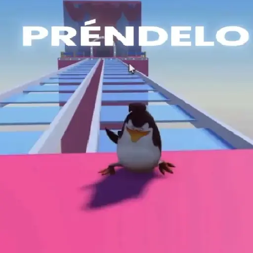🧿Prendelo Pingüino 🐧🐧🐧 14
