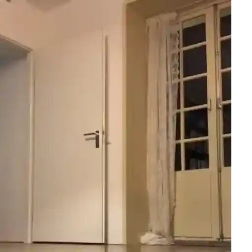 Macaco 5