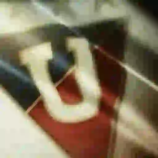 LDU 1
