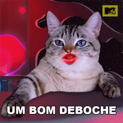 Deboche com essas 6