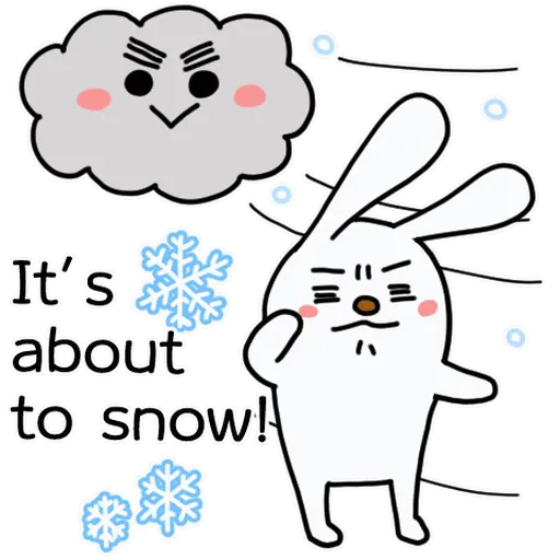 It's Cold Bear& Bunny🐻🐰❄️ 11