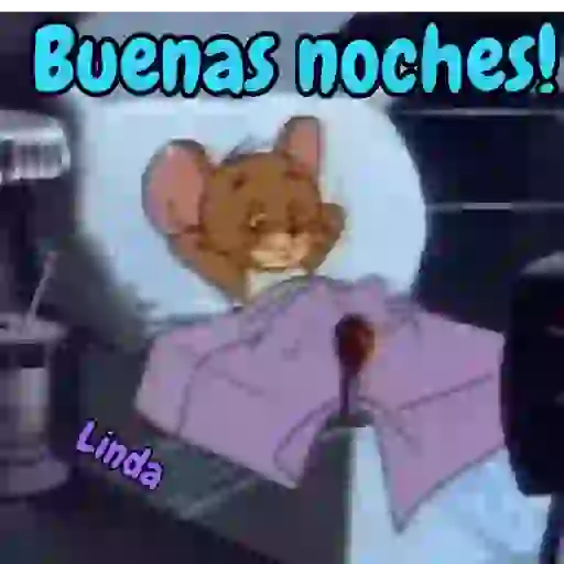 Axy Linda 11 6