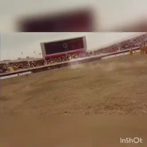 Shaolin soccer 15
