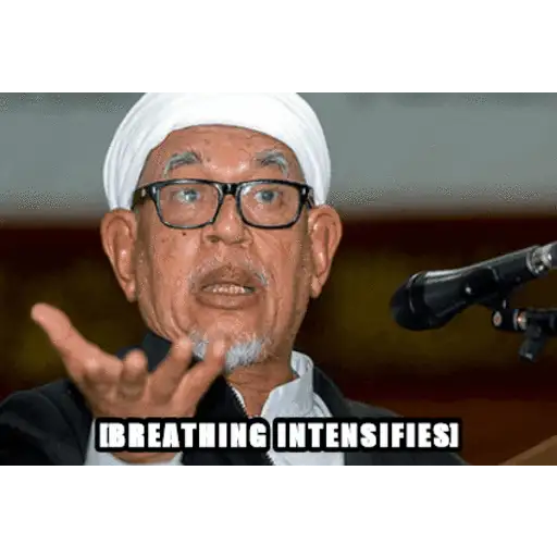 Perikatan Nasional GIF 7