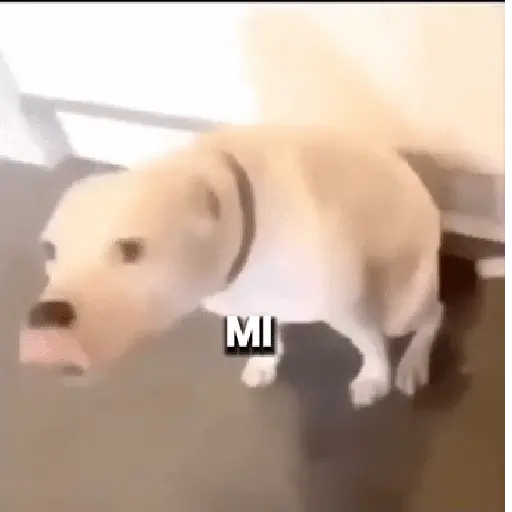 Fuera Fuera depresión 💃 3