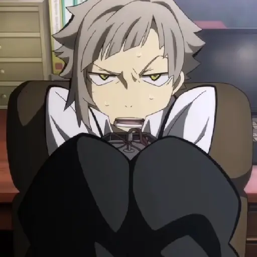 Bungou Stray Dogs 27