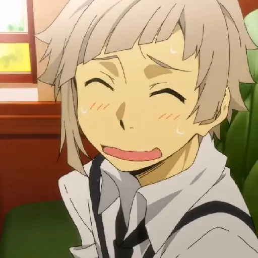 Bungou Stray Dogs 24