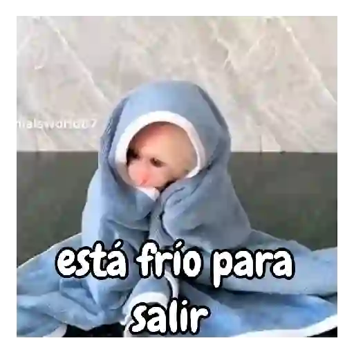 Frío de monos 🙉❄️ 1