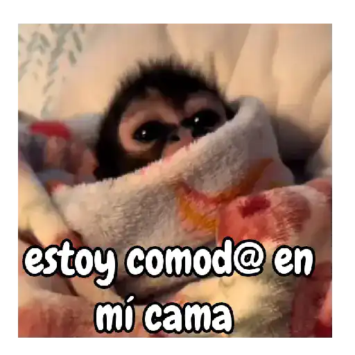 Frío de monos 🙉❄️ 7