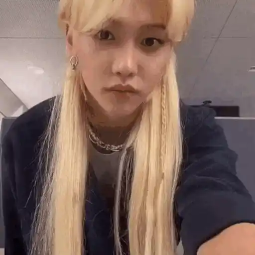 Kpop animafas 14