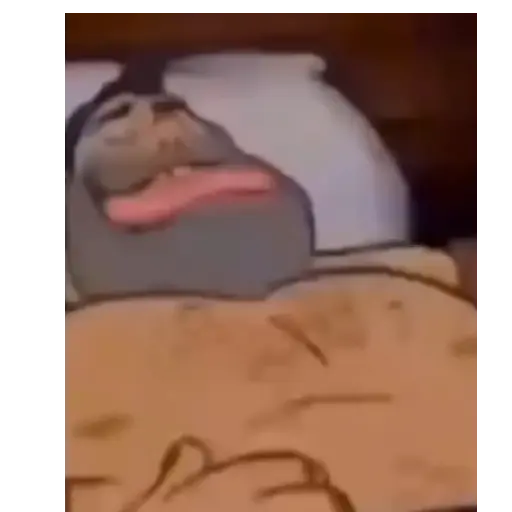 Macaco 21