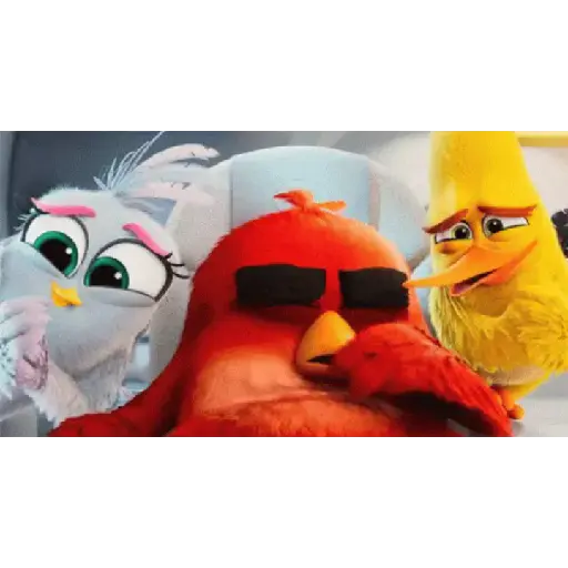 Angry birds 29
