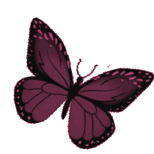 Mariposas 23