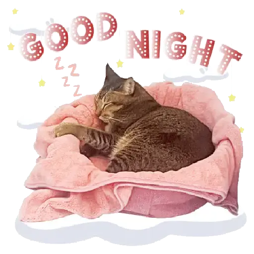 A mimir 💤😴 Buenas Noches  3