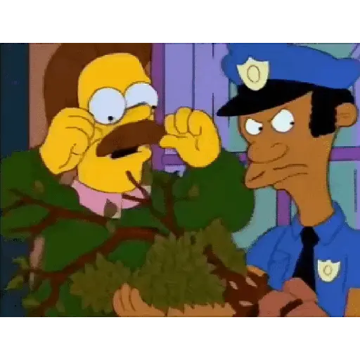 Los Simpson  2