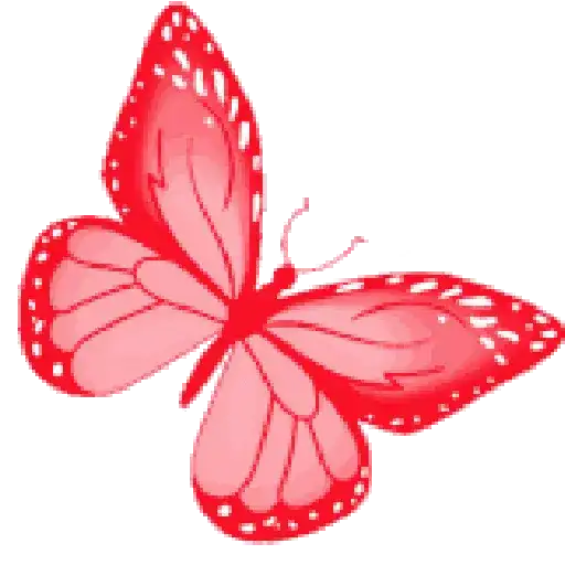Mariposas 18