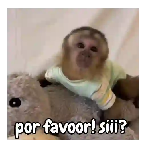 Frío de monos 🙉❄️ 9