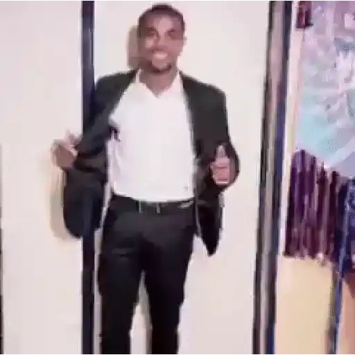 Animadas 2 2