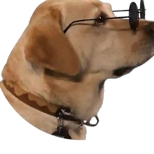 Zueira 12