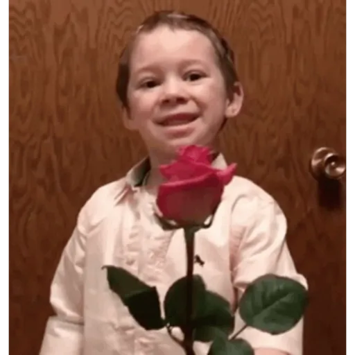 GAVIN  6