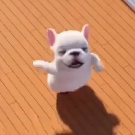 Pibble 🐶 Perro Pibble TikTok🪩 9