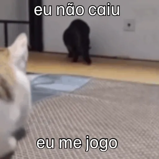 Memes  19