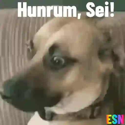 Legendados 7