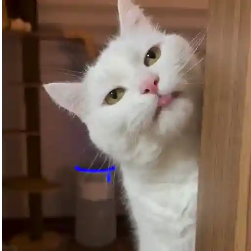 ❦̷ ⃝⃔❤⃪็ᭂƘcɦ̢ꫀ֟፝͞ᥲ𝛛ᥲ᬴᭄⃕͜ 
❤️ 8